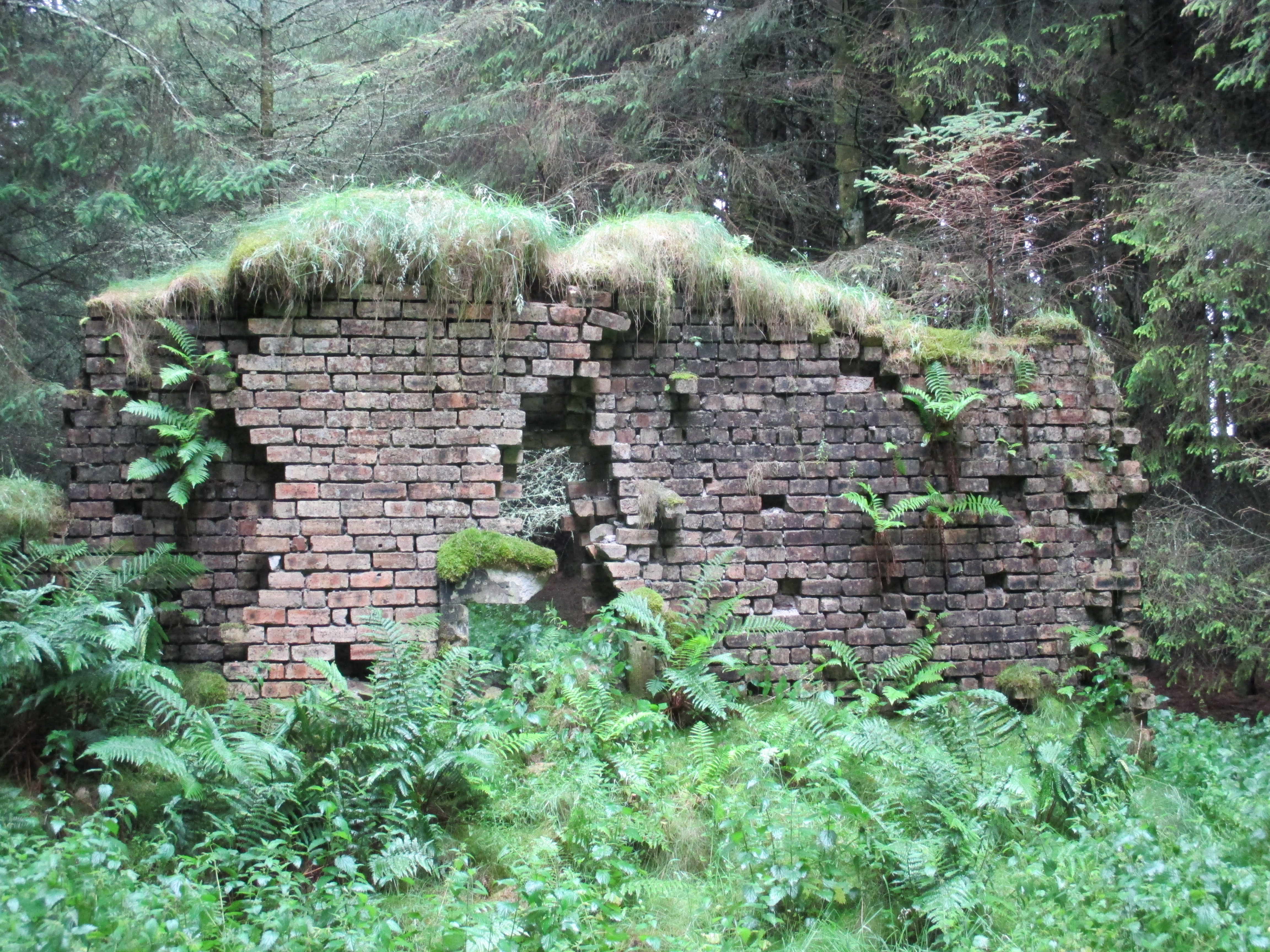 ruin of a wall surrounded by vegetation 