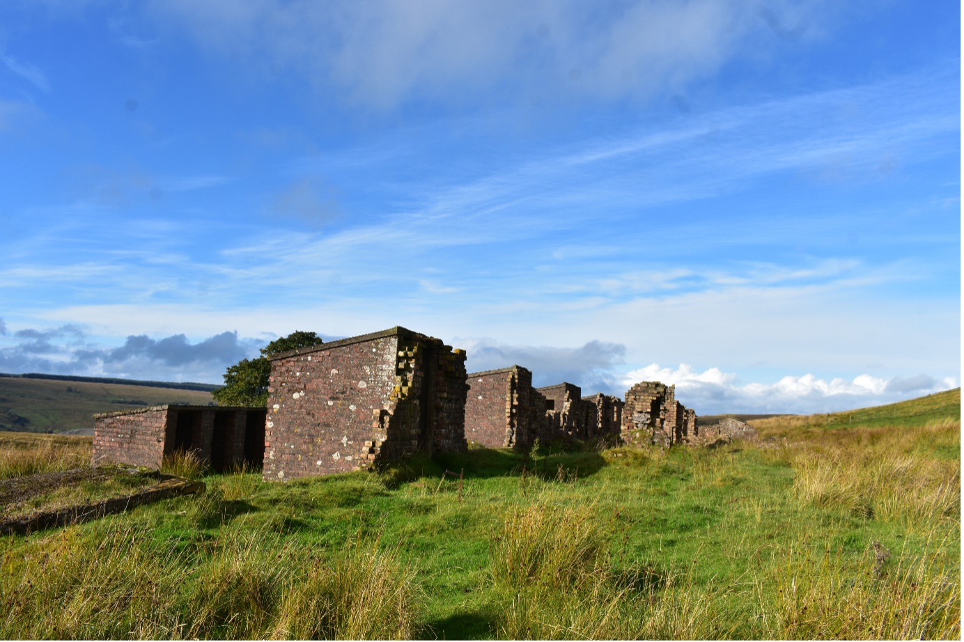 Row of outhouses surrounded by grass and against a blue sky at the site of the mining village of Corbie Criaig's Aryshire