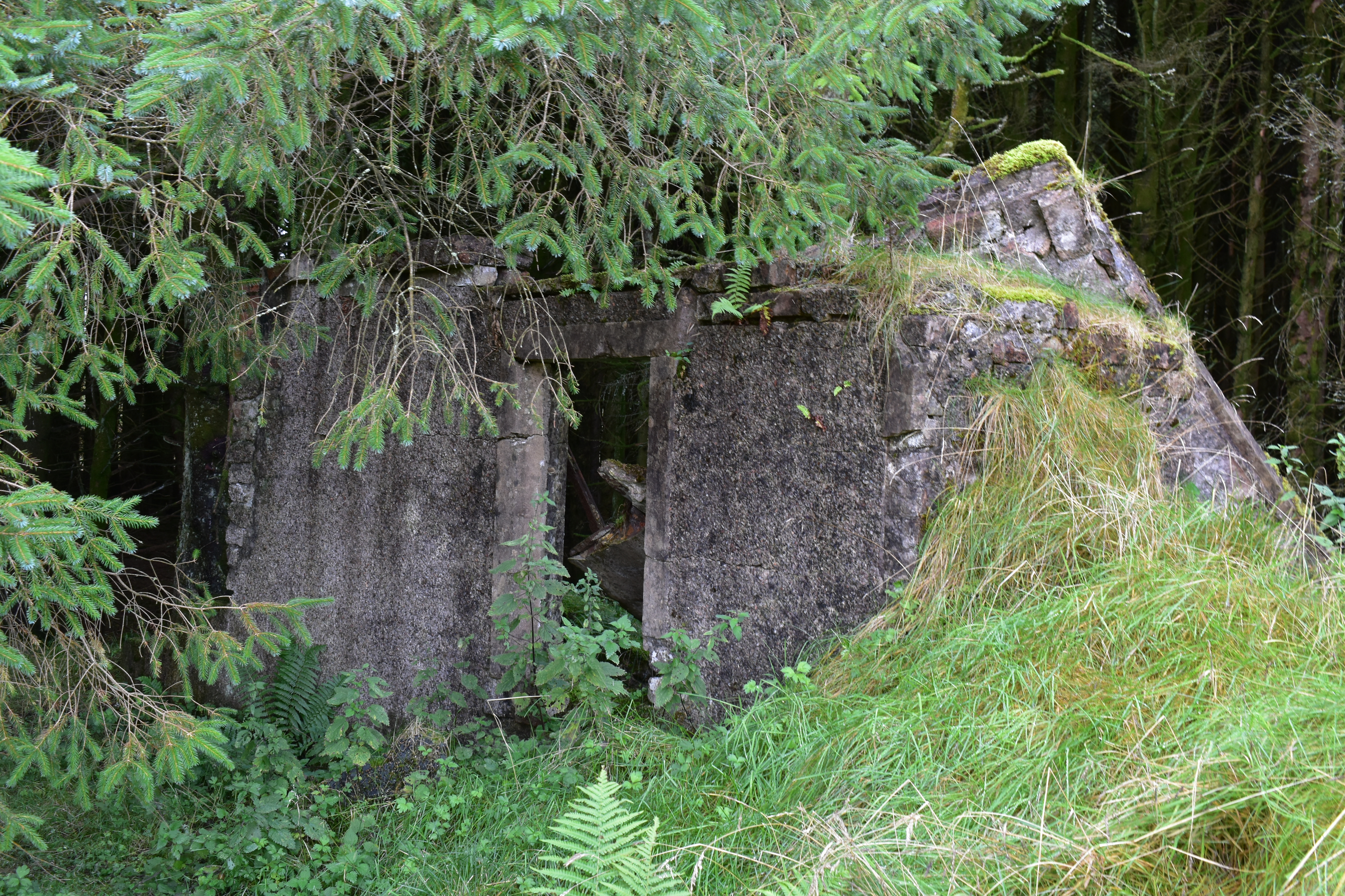 Ruined building with one roughcast wall standing with a doorway.