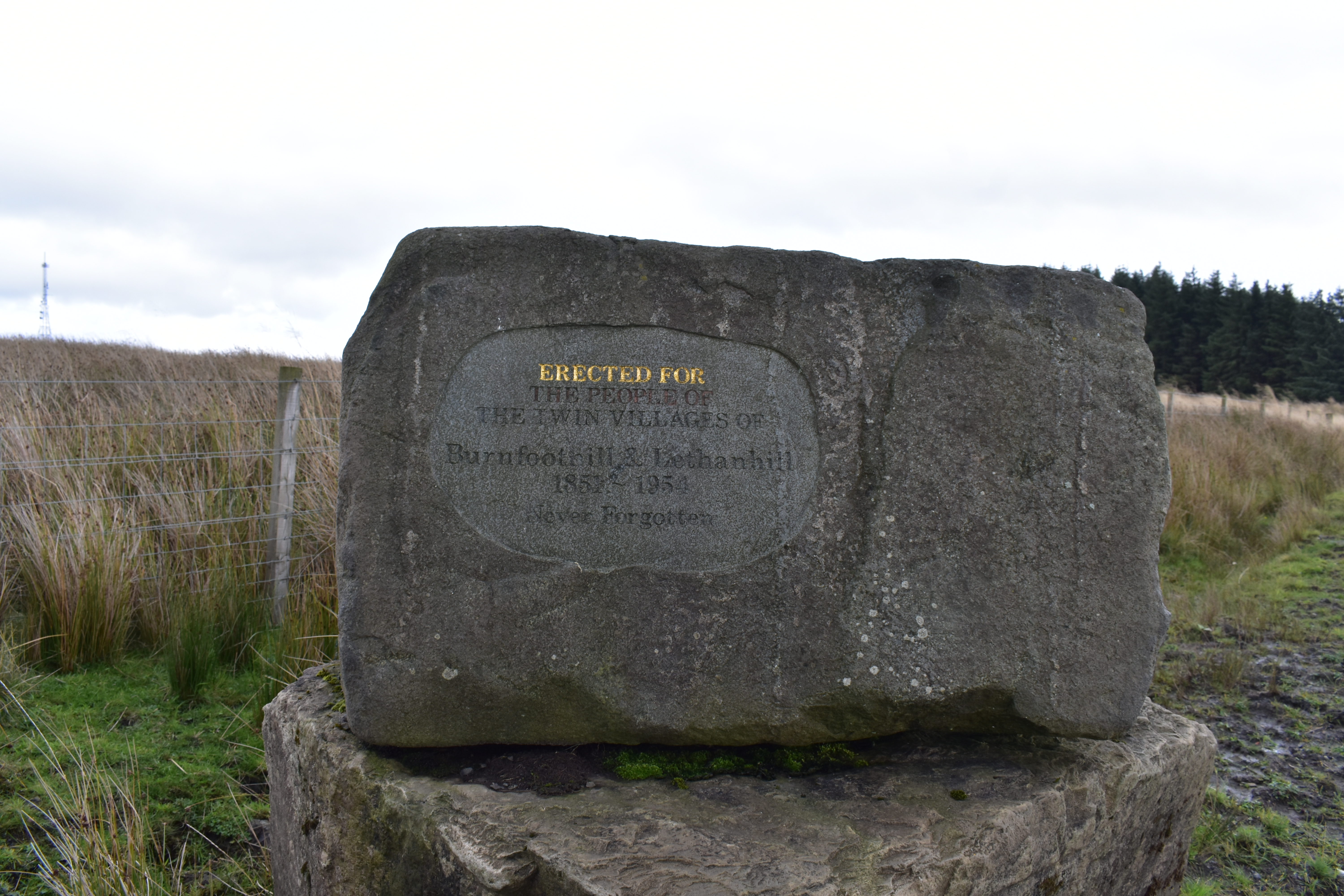 Engraved Stone at the crossroads of Lethanhill and Burnfoothill. Grey stone with Gold and black lettering. background is grass and trees