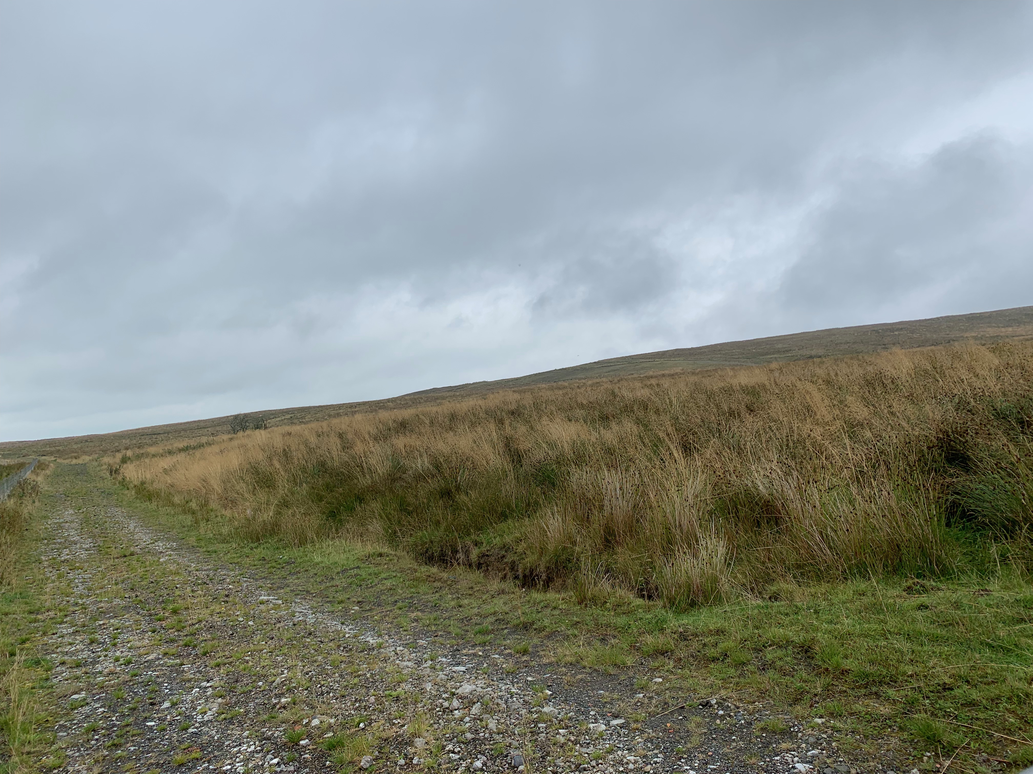 a track into the hills with grass on the right hand side