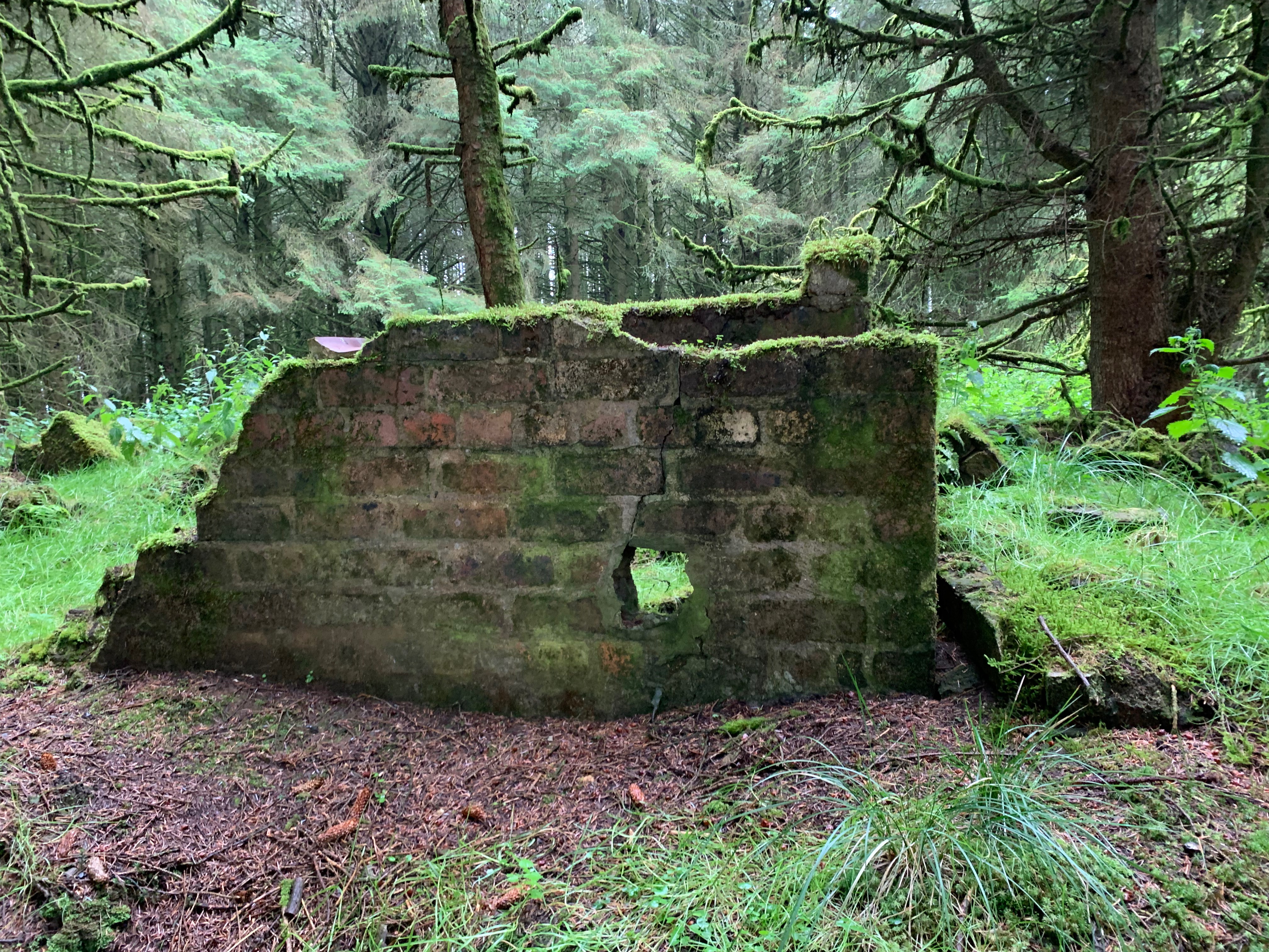 remains of a brick wall about 7-8 rows high with a drainage hold two bricks up