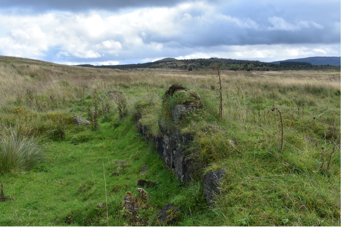 Remains of a miner's row in Benwhat Ayrshire. Shows small wall covered in and surrounded by grass