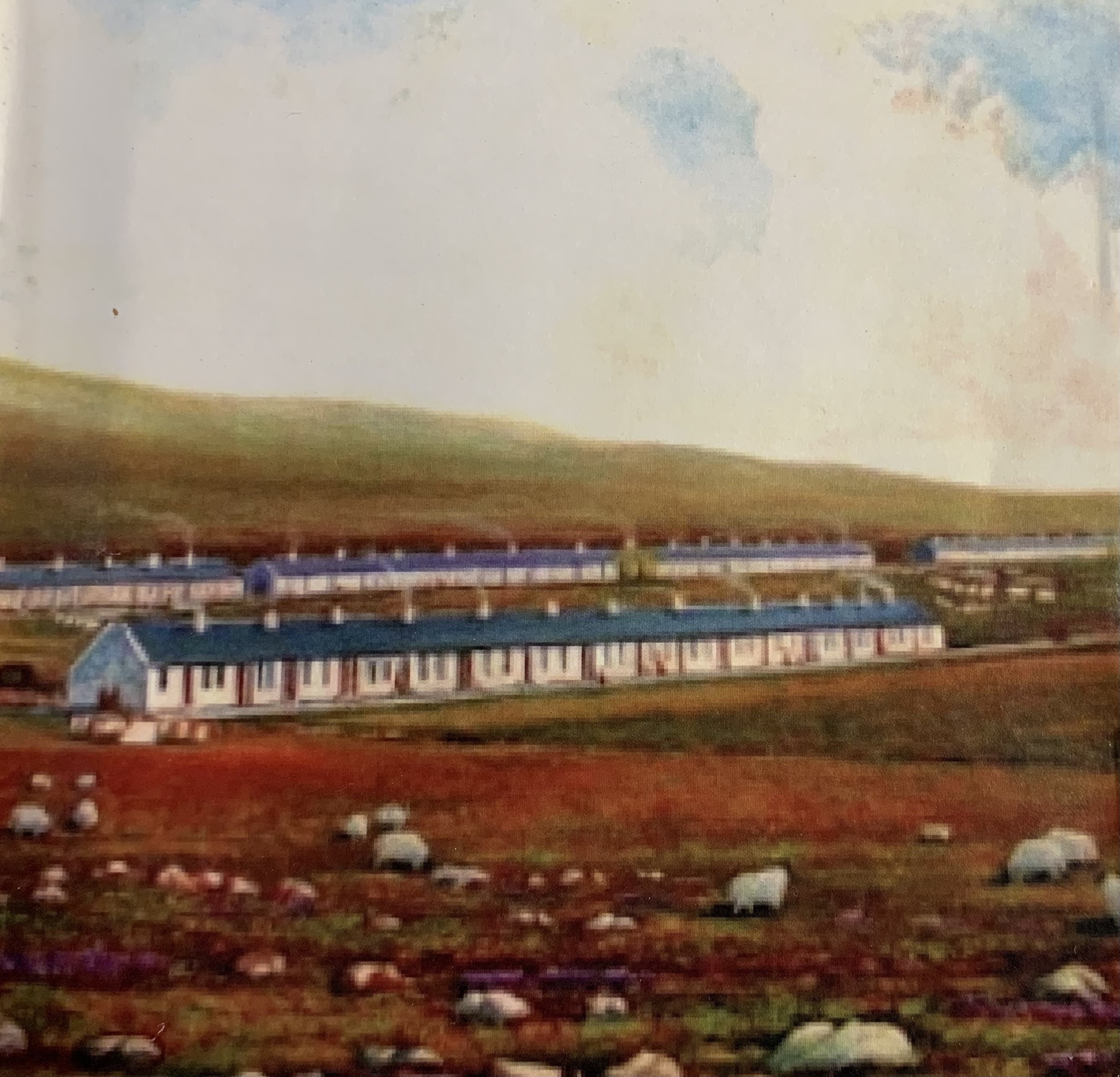 Photo of a paining showing sheep on the hills in the foreground to two rows on white housing with pitched roofs and a hill in the background depicting the lost mining village of Benwhat