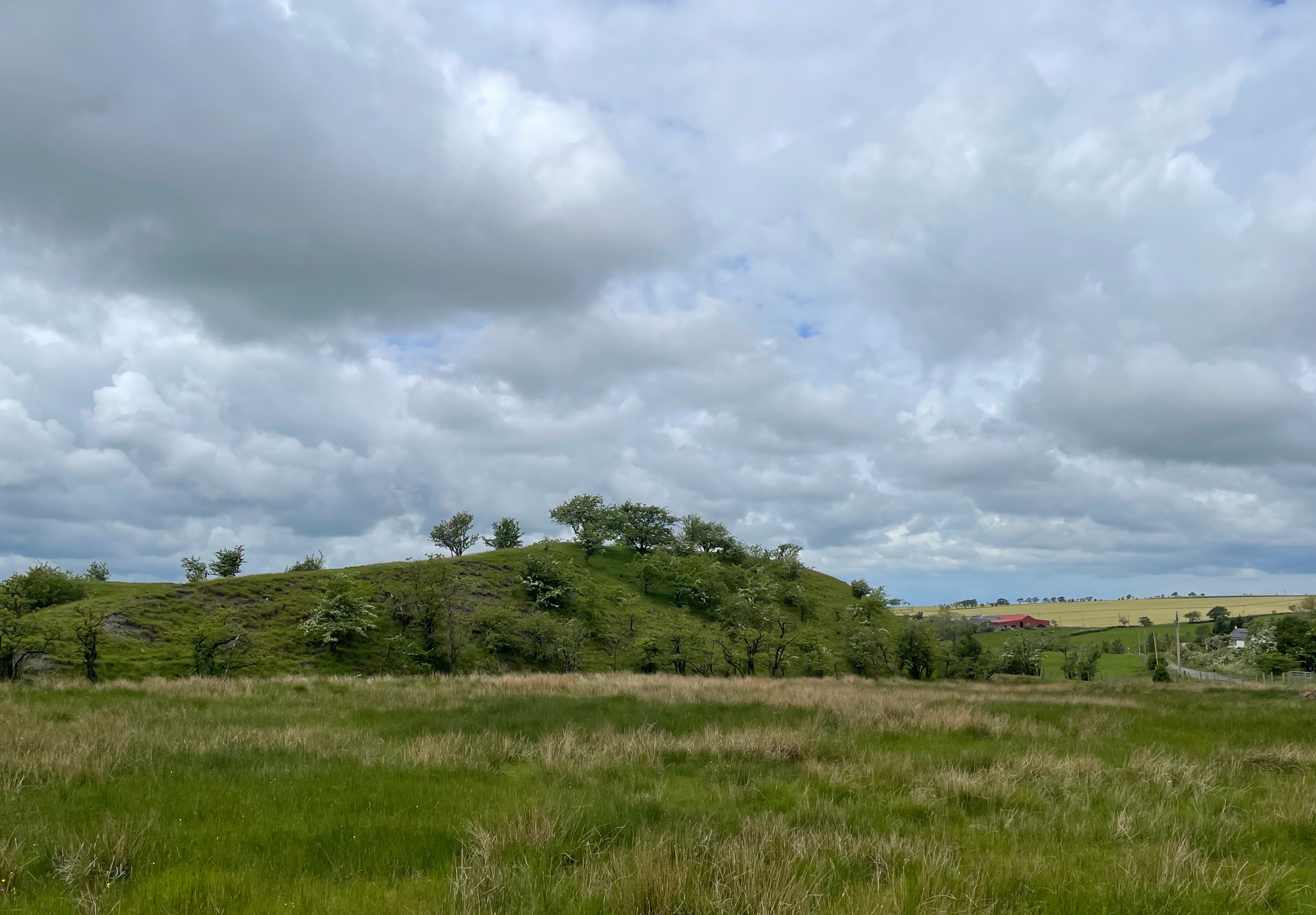 countryside view of a a field with a mound of hill of grass and trees that is made up of a bing